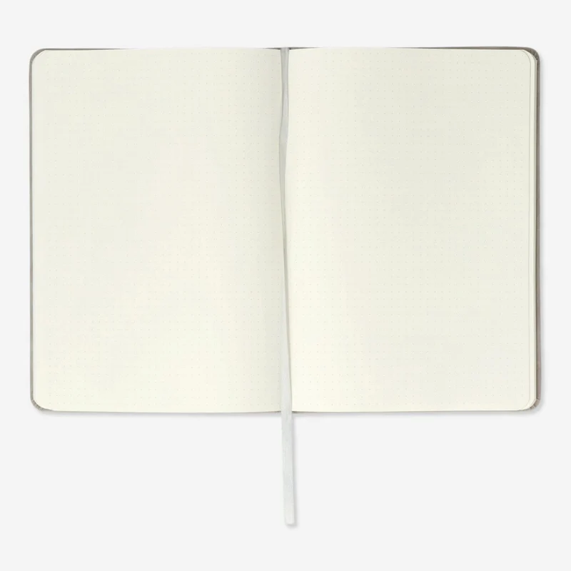 Bullet planner