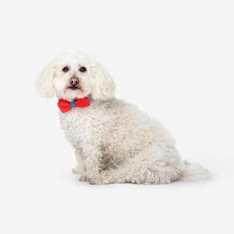 Pet accessories. One size