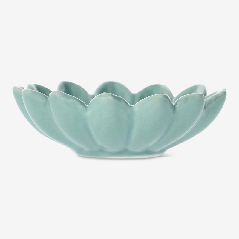 Dish