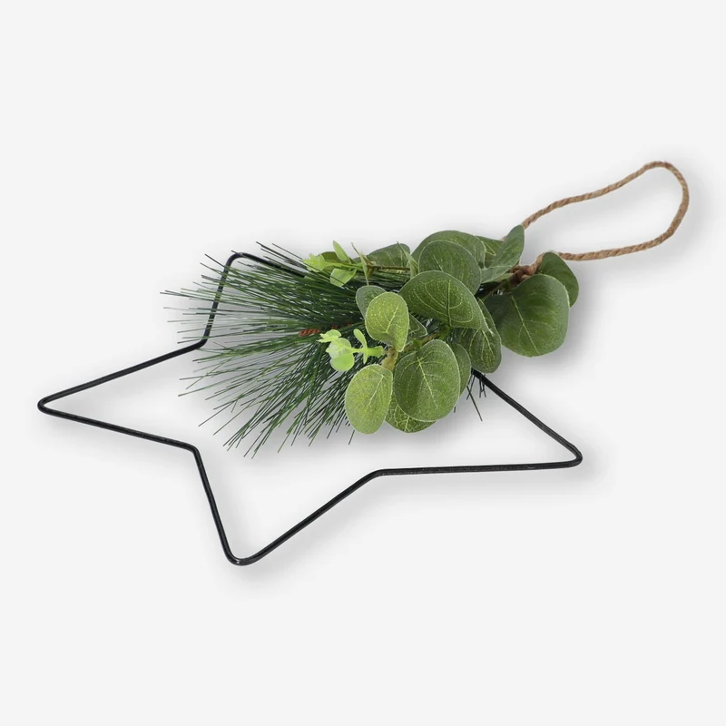 Decorative star