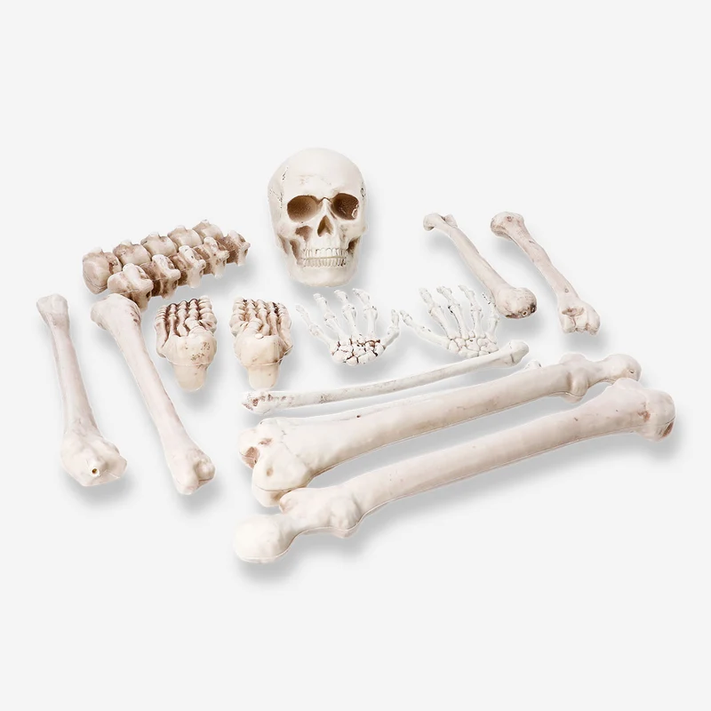Skeleton set