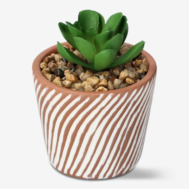 Decorative plant