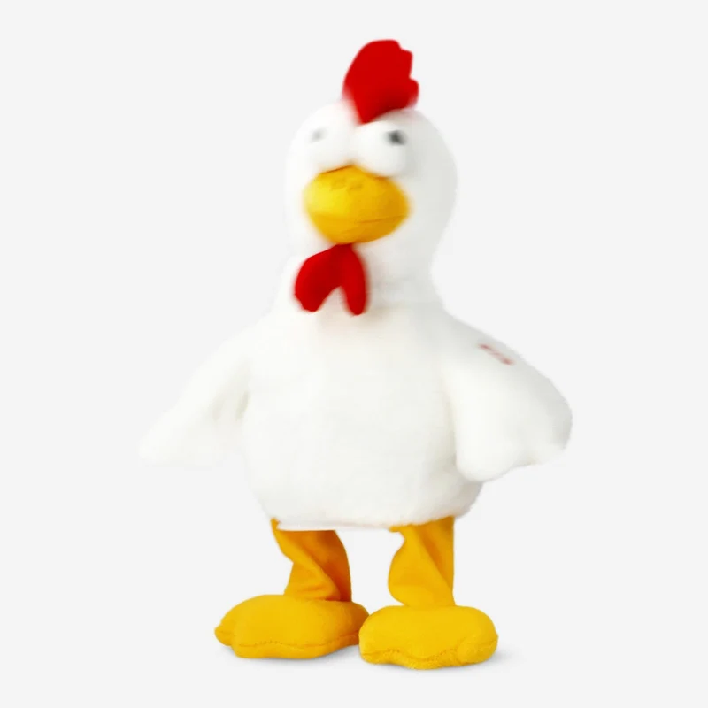 Rowdy rooster. Dances and sings