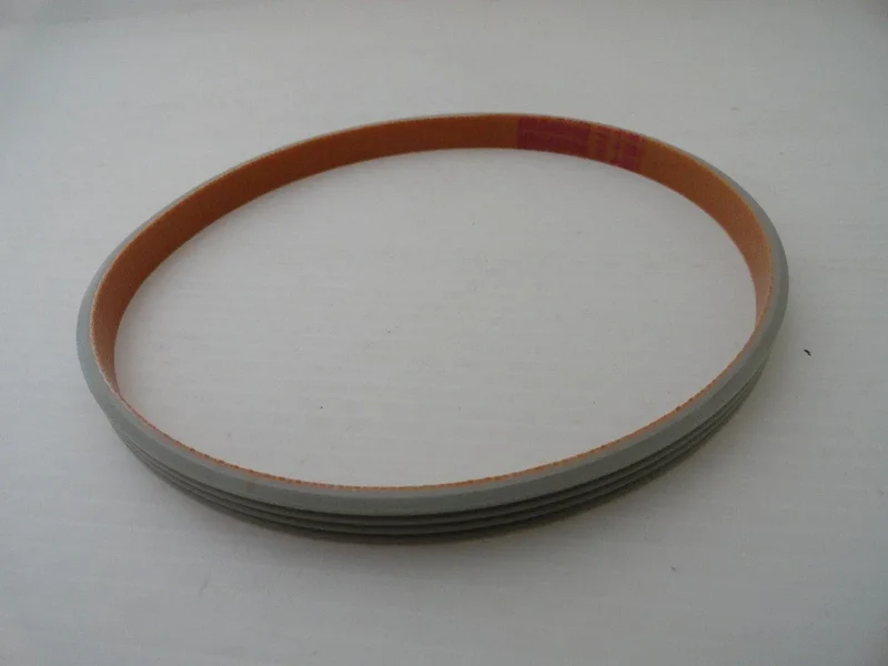 Cinghia gelataio Simac 4 gole j381