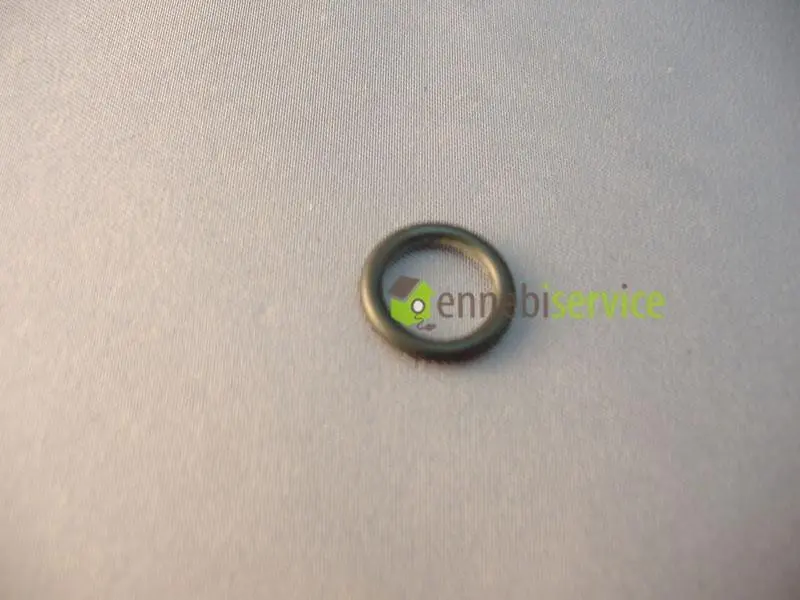 Or metrico 0090-20 epdm Saeco