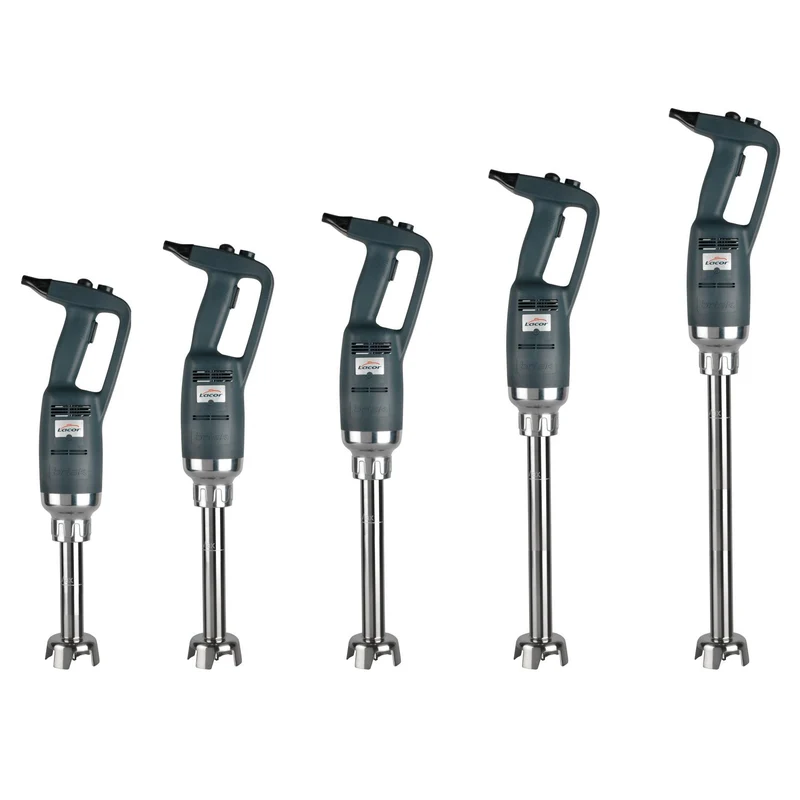 LACOR Frullatore professionale Brisk Variable (Serie 500) 69791