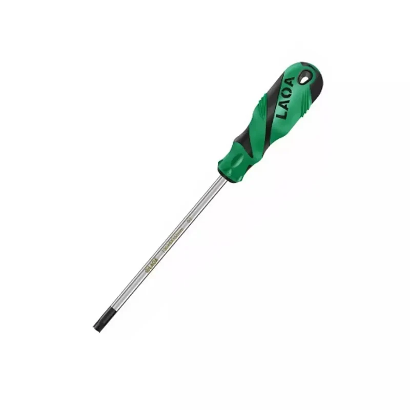 Cacciavite Torx T10 antimanomissione